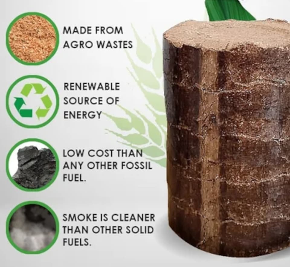 Why Biomass Briquette